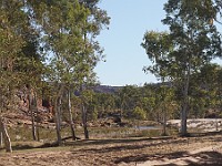 MK TLCCV Savannah Trip-100